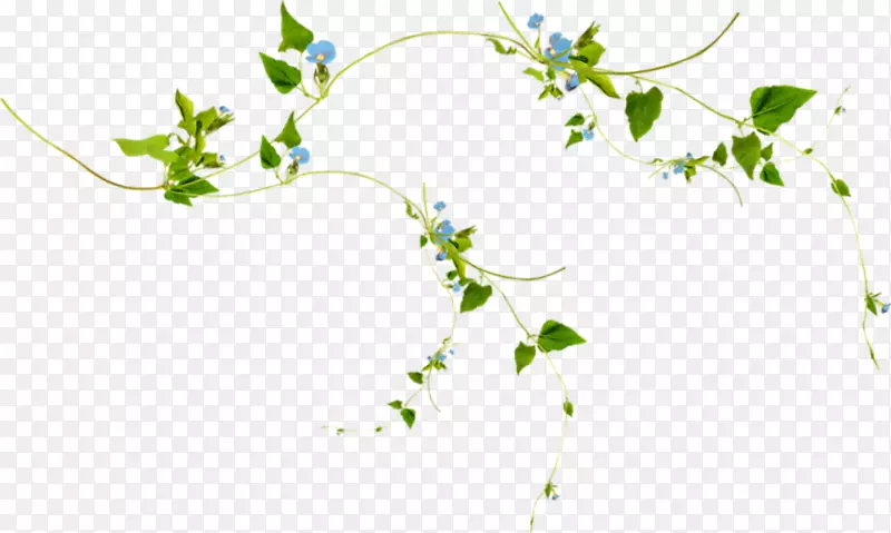 ��ͯ��װ���ʦ������-������