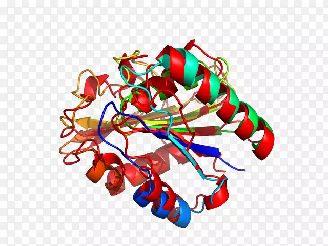 ʳƷ����Ь������.�鱦����-������