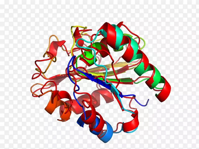 ʳƷʥ��װ��Ʒ������-ʥ����-������