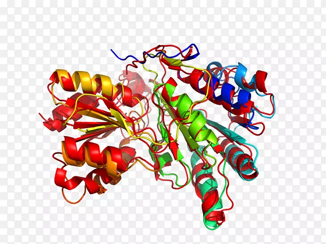 ʳ�������-������