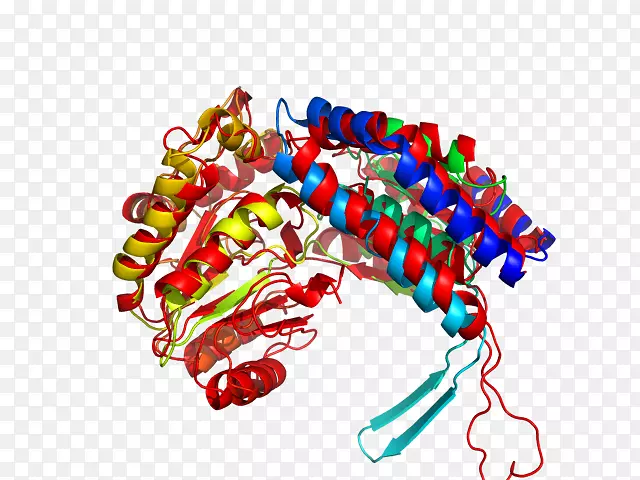 �����鱦����-������