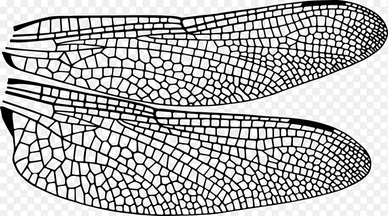 �׳桢���ѡ����������׿ǳ桢����-������