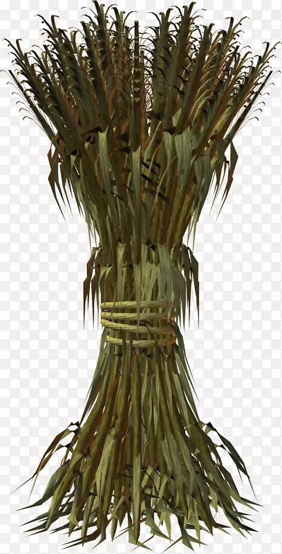 ���ײ�-��Ѫ��-������