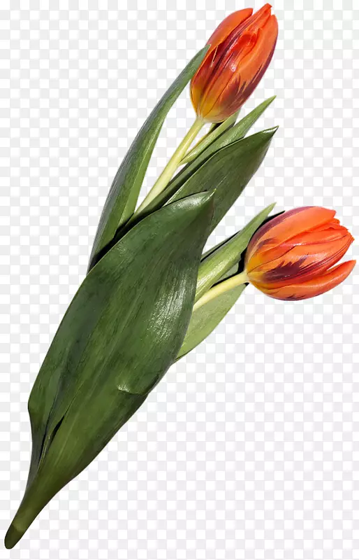 �������л�ë���������-������-������