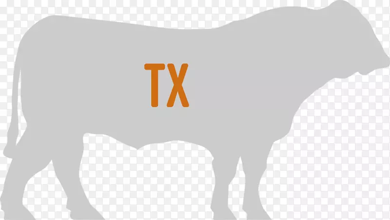 ţ-�����Ӽ�����-����-������