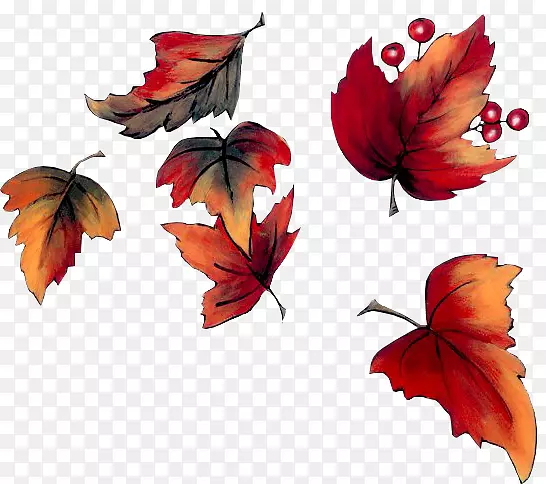 �＾���ͼ�����-����-������