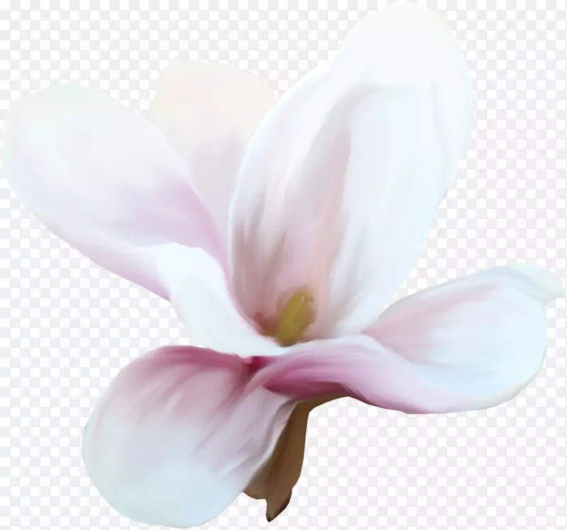 ������-������