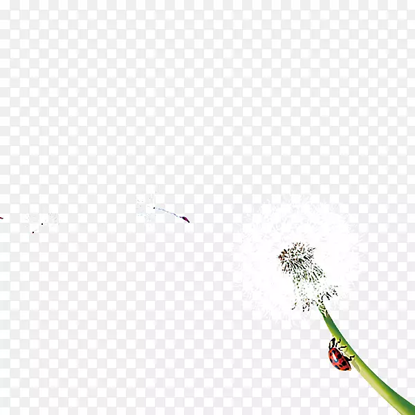 ��ש�ذ���ѹ�Ӣͼ���ѹ�Ӣ-������