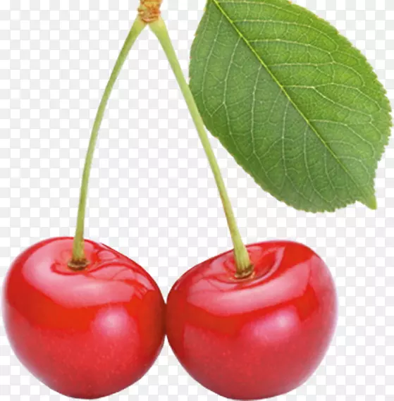 ����ӣ��ˮ��-ӣ��-������