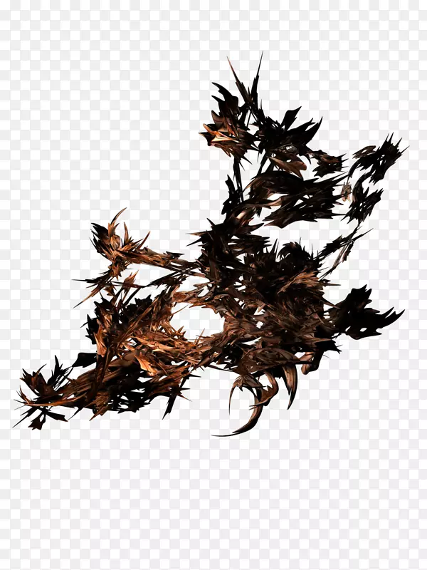 ��Ҷ�߲�-��-������