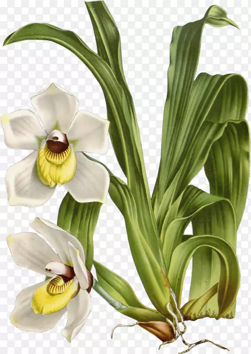 �������-�廨����-������