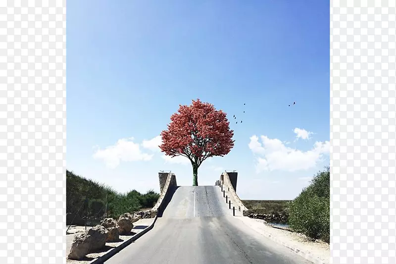 ԭľ��Ӱ����ľ-������