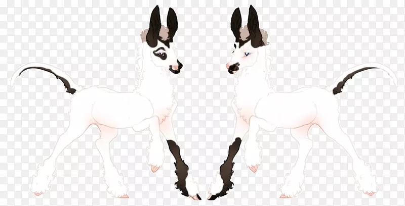 ��è��βҰ������-������