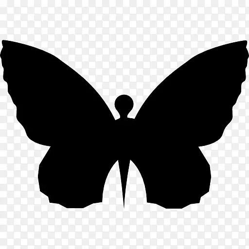 ����������-����-������