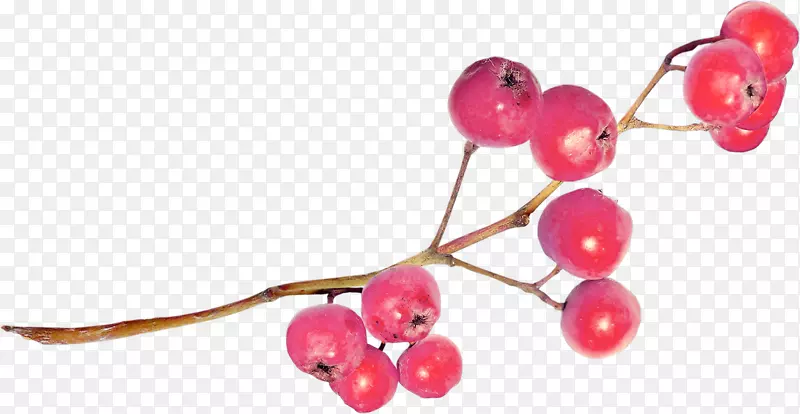 �ۺ�������¸���˹��Ӱ������-������