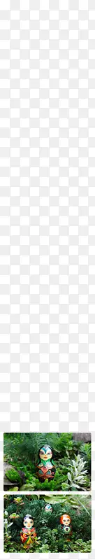 ��ˮ��-ˮ-������