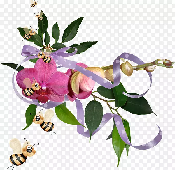 �������ʦ-��-������