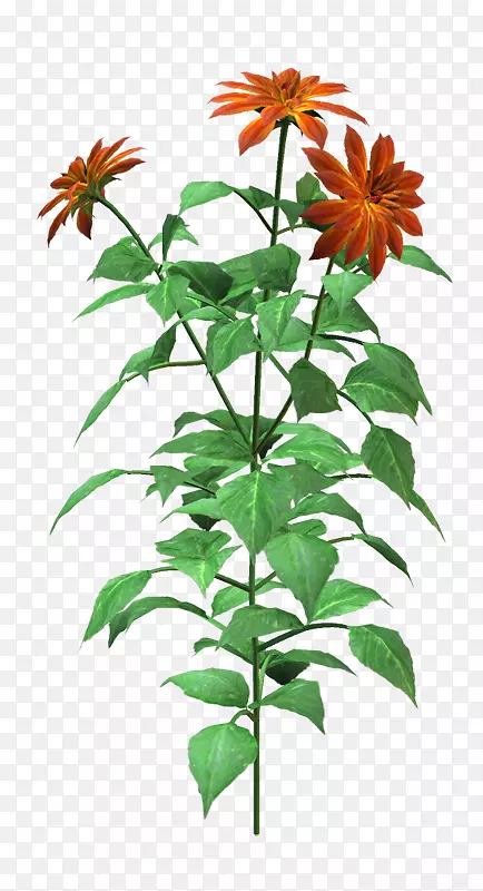 ���ϼ�����-��-������