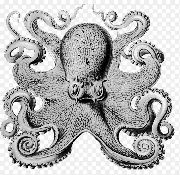 ͷ�ԣ���������������֮�顢��ѧ�ҡ���ѧ֮����ݱ�-������