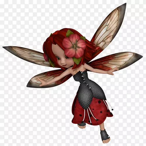 ���������-��������������-������