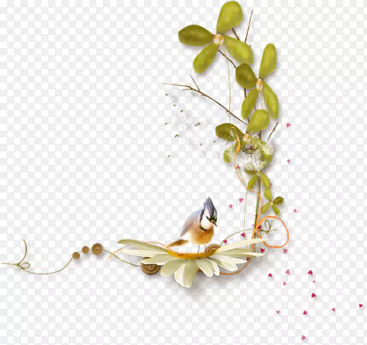 ����������-����-������