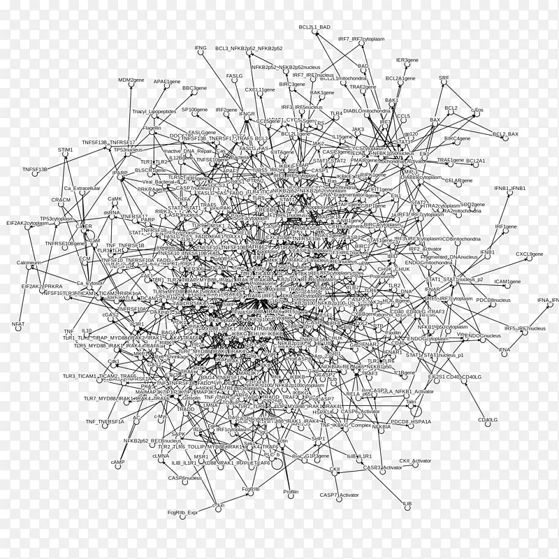 �߶ԳƵ�׽ڵ�ṹ-������