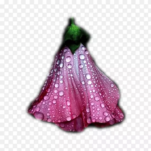 �������������Ͷ�-��-������