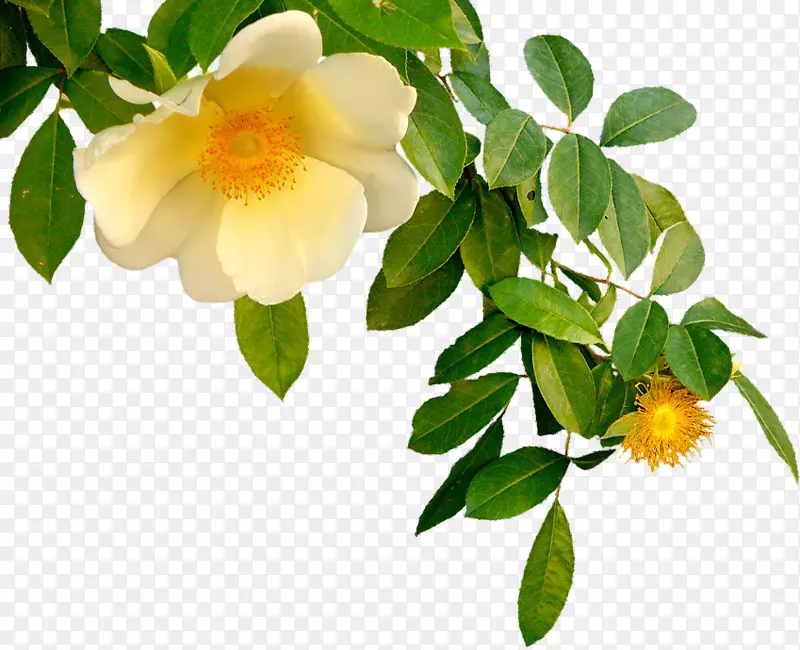 ���䲩�ͼ�����-������