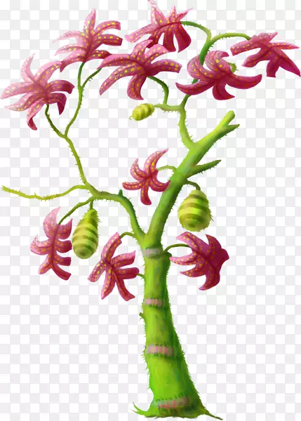 ������Ƽ�����-��-������