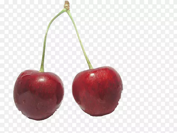 ��ӣ��ˮ��-ӣ��PNG����-������