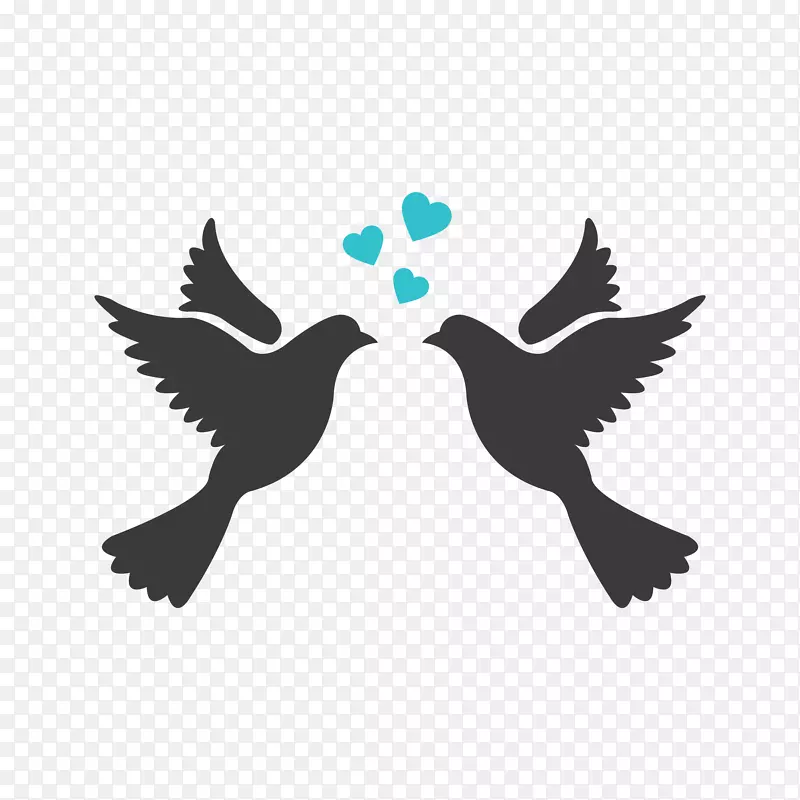 �����Ӱ����������-��-������