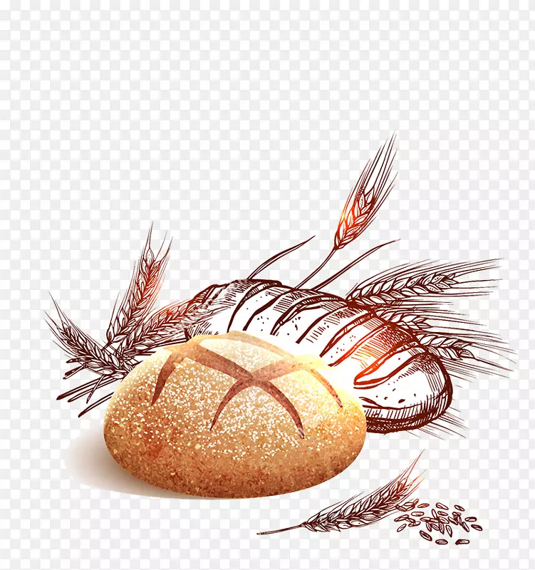 �����ֽ������-��ѵ���-������