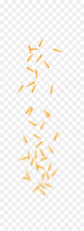 ֱ�߽���-������