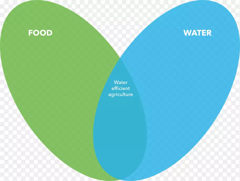 ��ˮ��-������