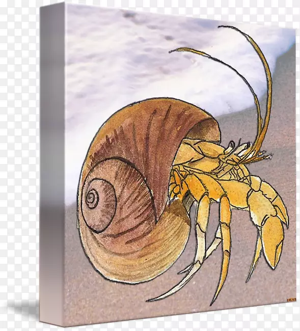 ����Ĥ����ˮ�ʱ��-������