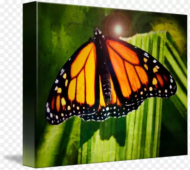 ��������ҹ��ƣ����δ��-�⻬�ĺ���-������