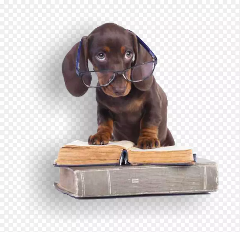 ��������Ȯ��Ȯ�Ĵ���������Ȯѵ��-������