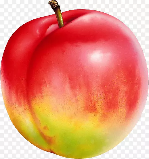 �����������Ӻ���ʳ��u674eu5b50-��-������