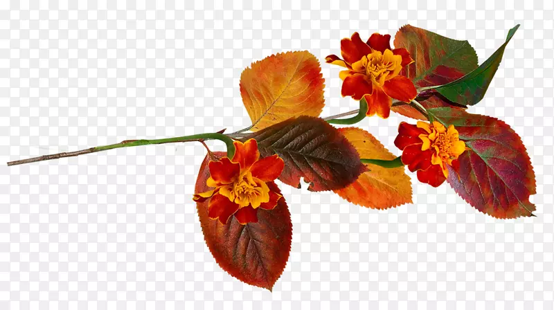 �＾������Ӱ-���ջ���-������