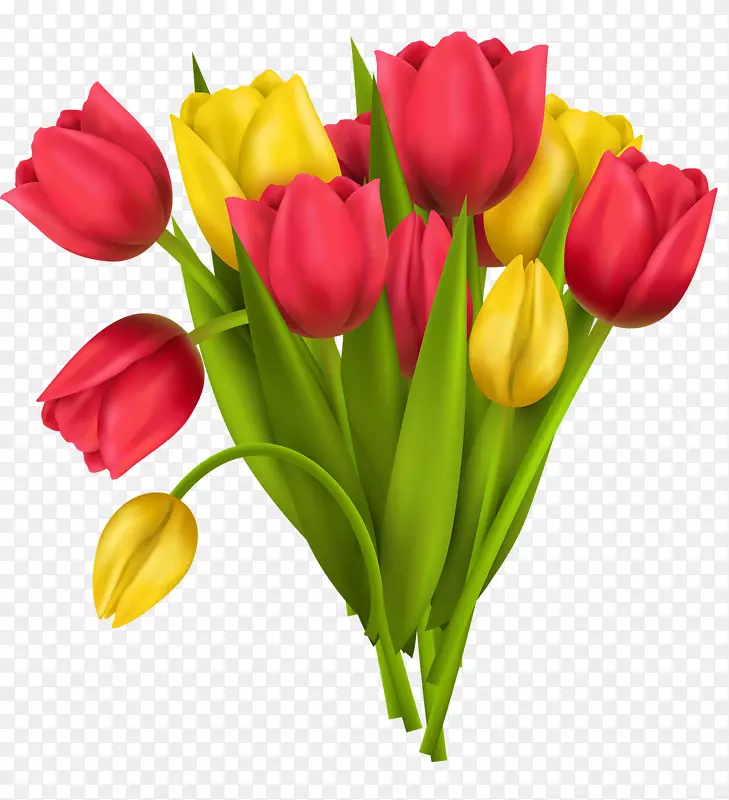 ��ƿ������Ӱ�������ֻ�������-������