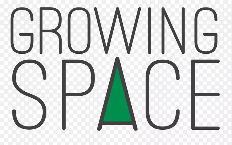 �̱������-������