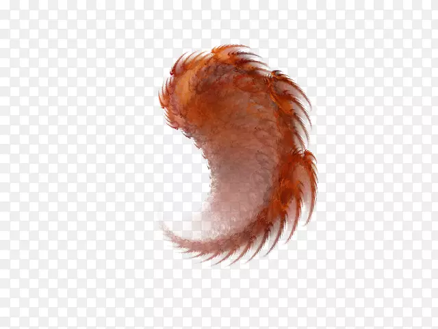 ����ʹ������ë-������