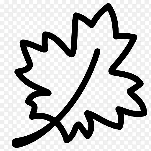 ��Ҷ����ͼ��-������