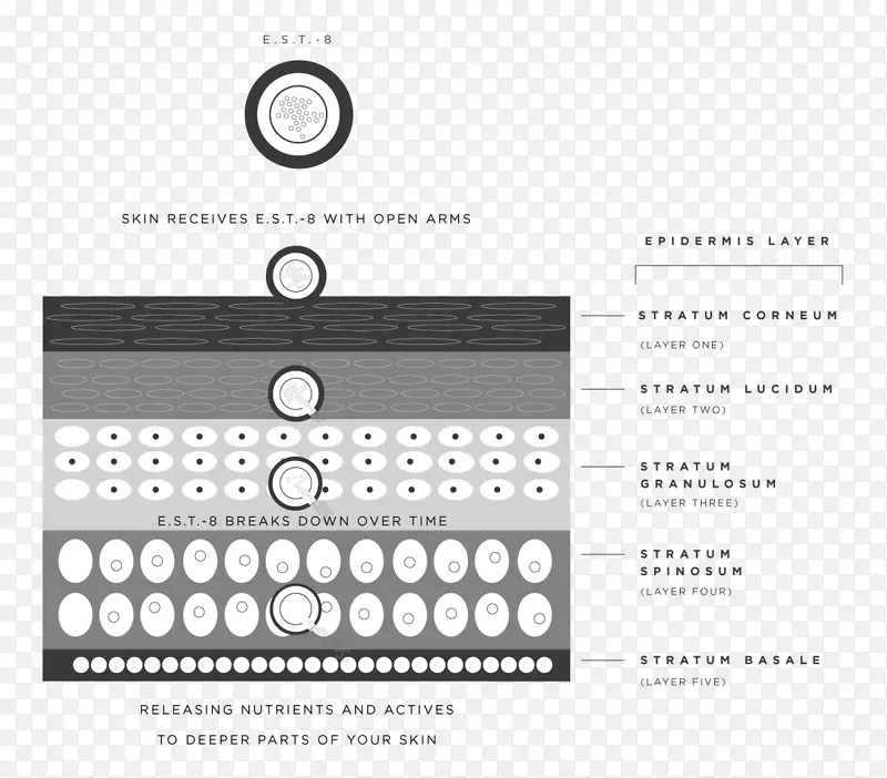 ������ѧ��ױƷֲ���ϸ����ѧ-������