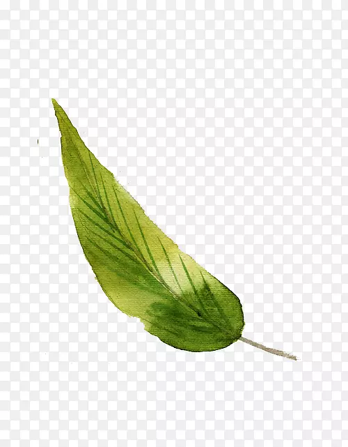 ˮ�ʻ�.ˮ����ë-������