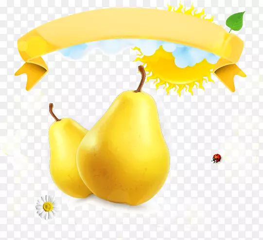 ��������ͼ-��ʵ��-������