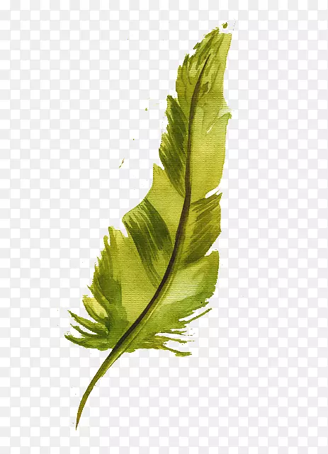 ˮ�ʻ���ë������ˮ�ʻ���ë-������