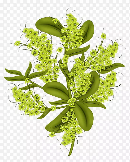 ������Ʋ����ռǻ�-������