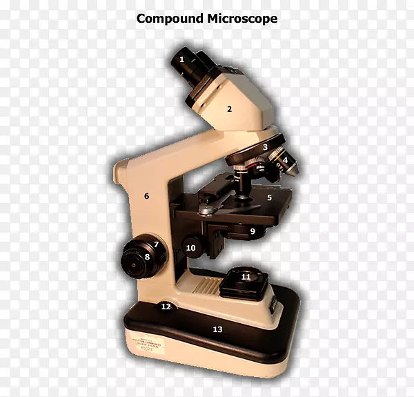 ��΢����΢��-������