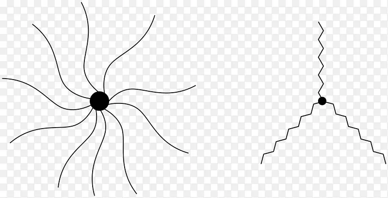 ��������ֲ�ﾥ�׻���״-������